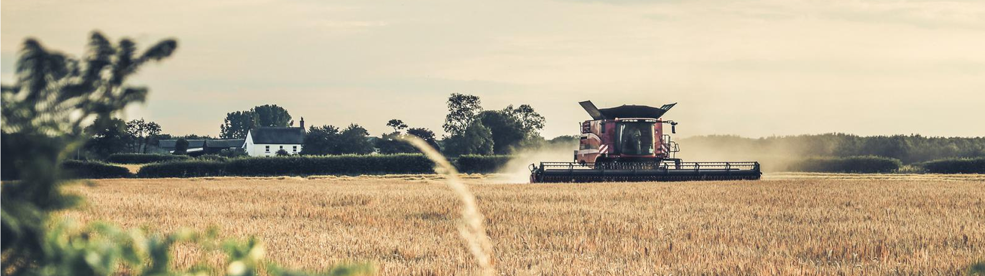 Cadastro Ambiental Rural (CAR): Grandes oportunidades para o agronegócio, mas por enquanto, subutilizada.