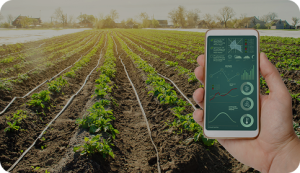 Bioinsumos: A revolução sustentável no agronegócio brasileiro